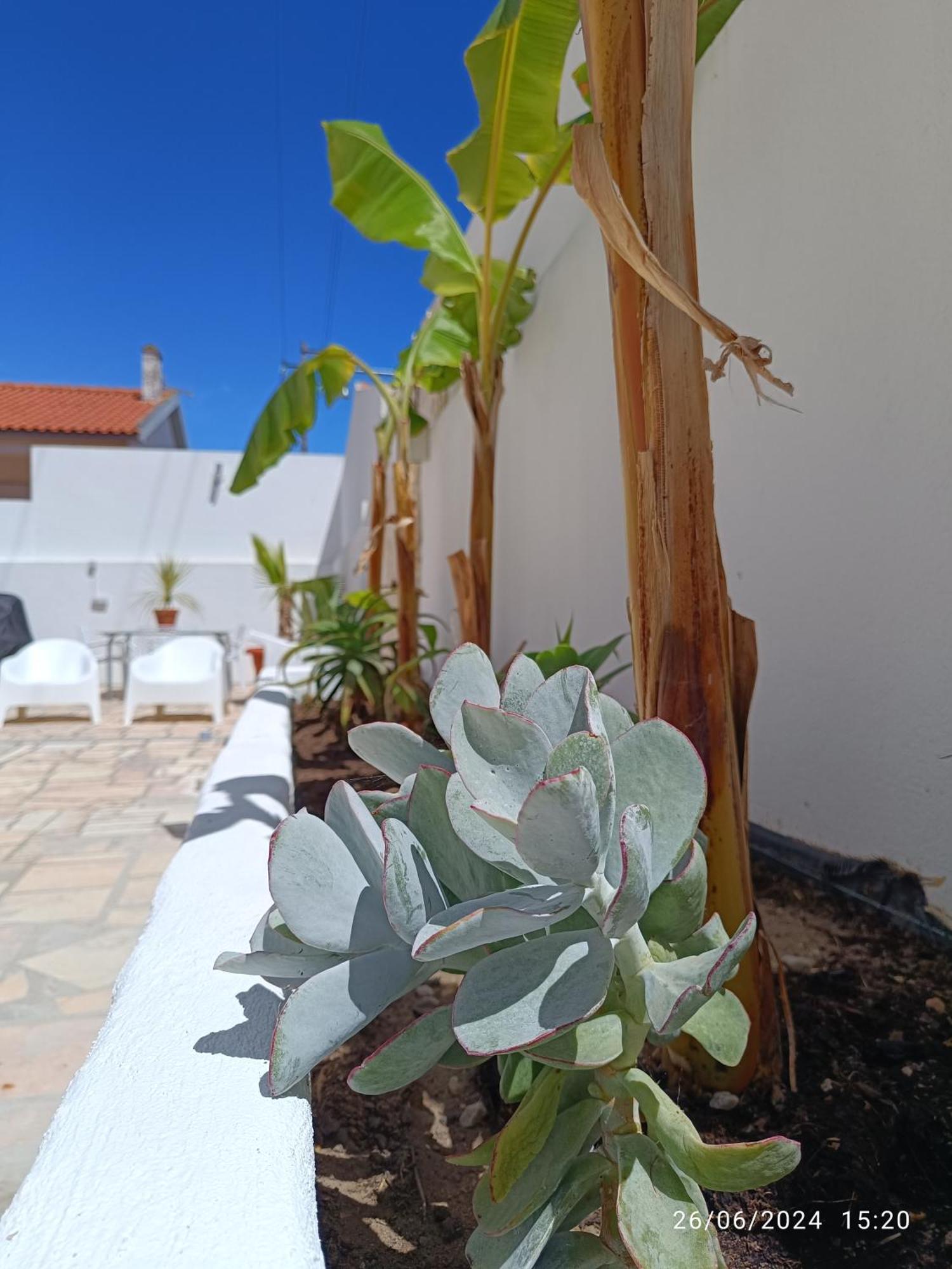 Supertubos House Peniche Bed and Breakfast Atouguia Da Baleia Eksteriør billede